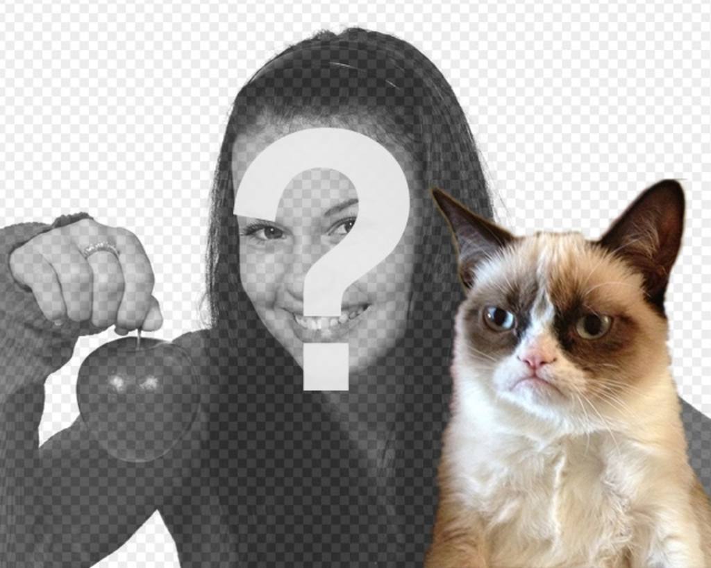 Fotomontage mit Grumpry Katze, meme, die berühmt geworden ist in der ganzen..